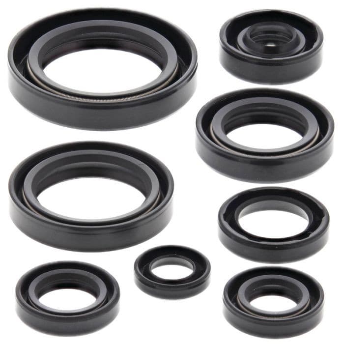 VERTEX ENGINE OIL SEAL KIT