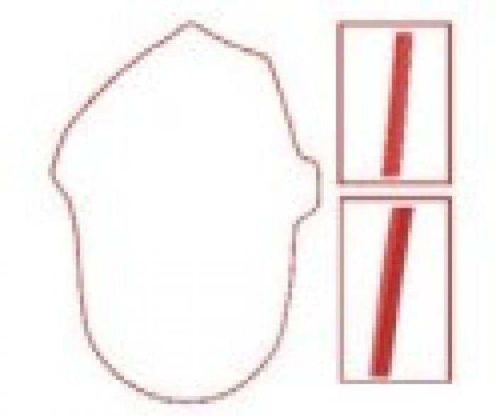 SPI CHAINCASE GASKET