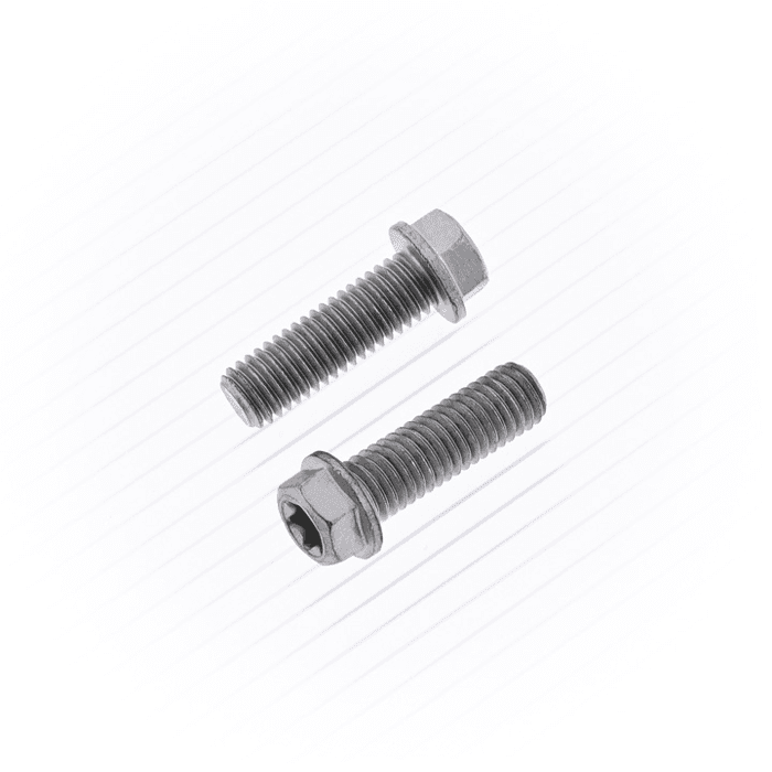 10MM EURO BOLT 8X25MM 10/PK