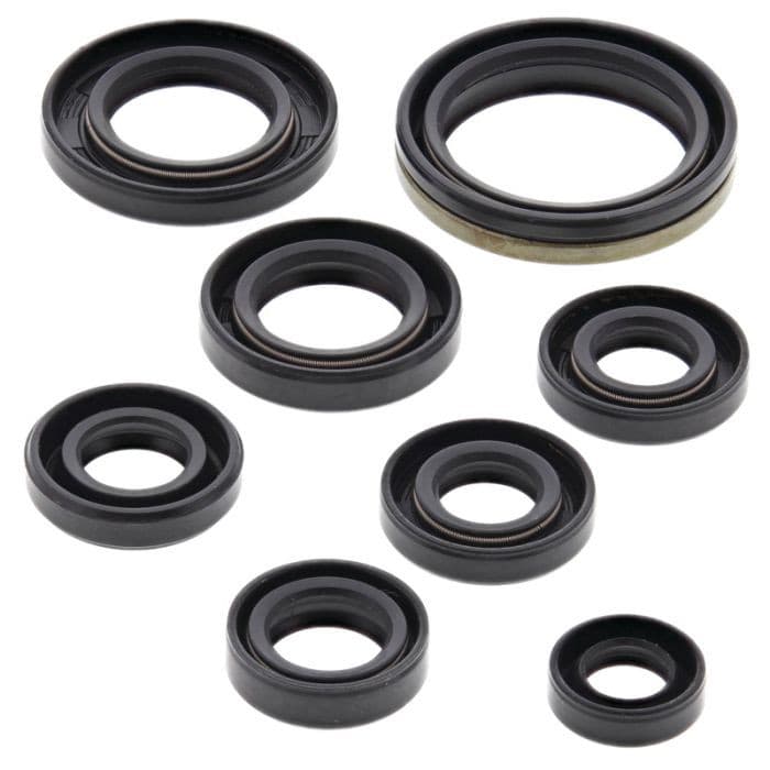VERTEX ENGINE OIL SEAL KIT