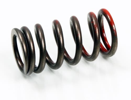 PSYCHIC EXHAUST VALVE SPRING