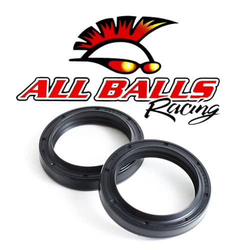 FORK SEAL KIT