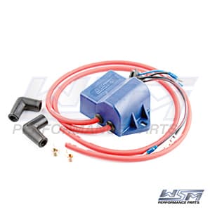 Wsm CDI Box Kawasaki