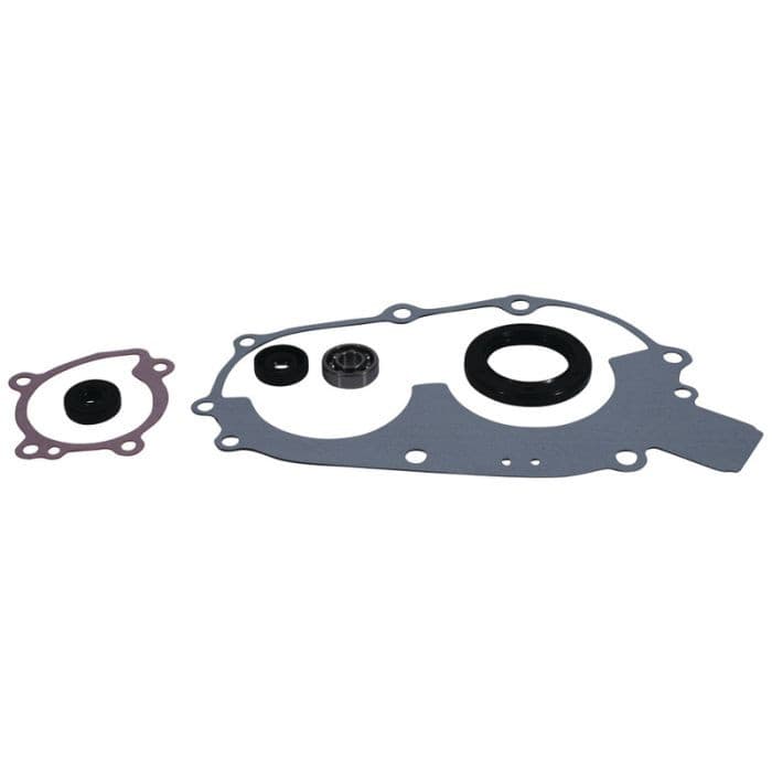 Vertex Water Pump Rebuild Kit