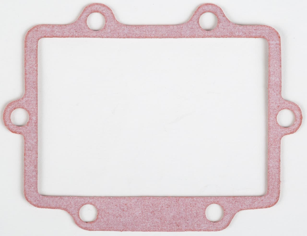 MOTORCYCLE RAD GASKET