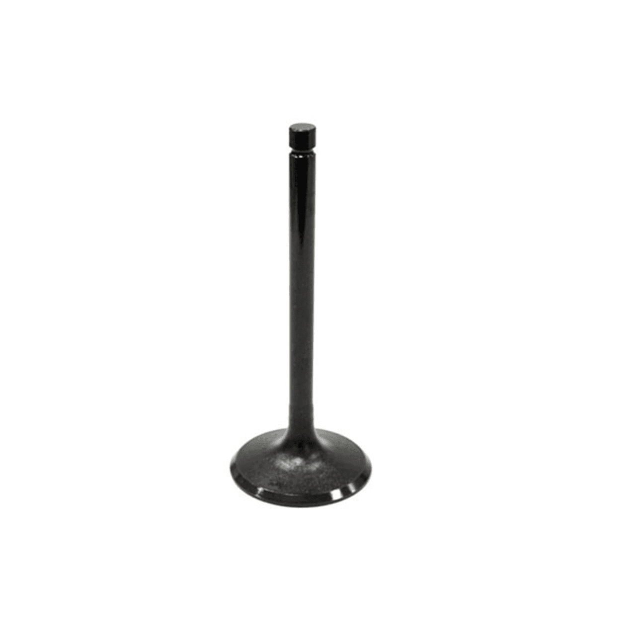 EXHAUST VALVE