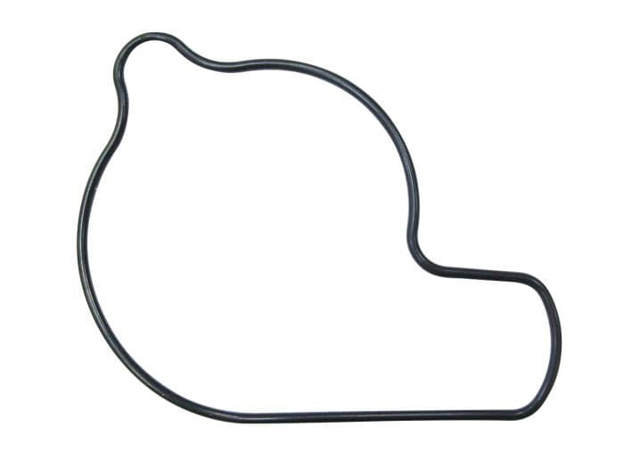 PSYCHIC WATER PUMP COVER GASKET