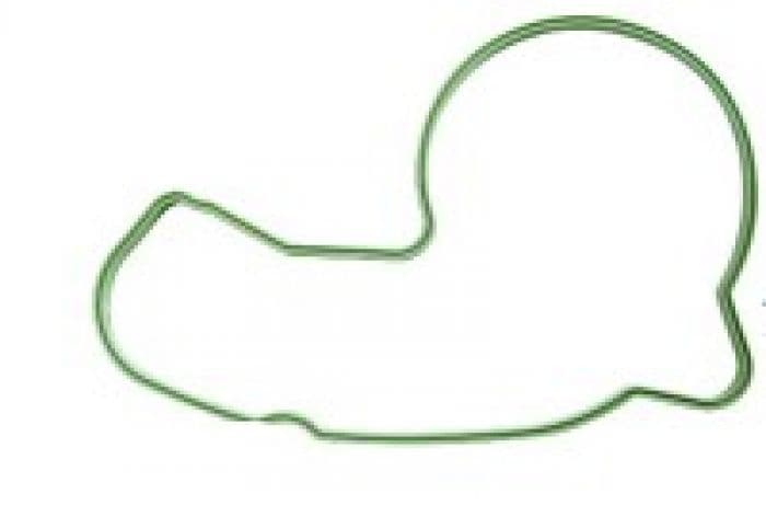 PSYCHIC WATER PUMP COVER GASKET