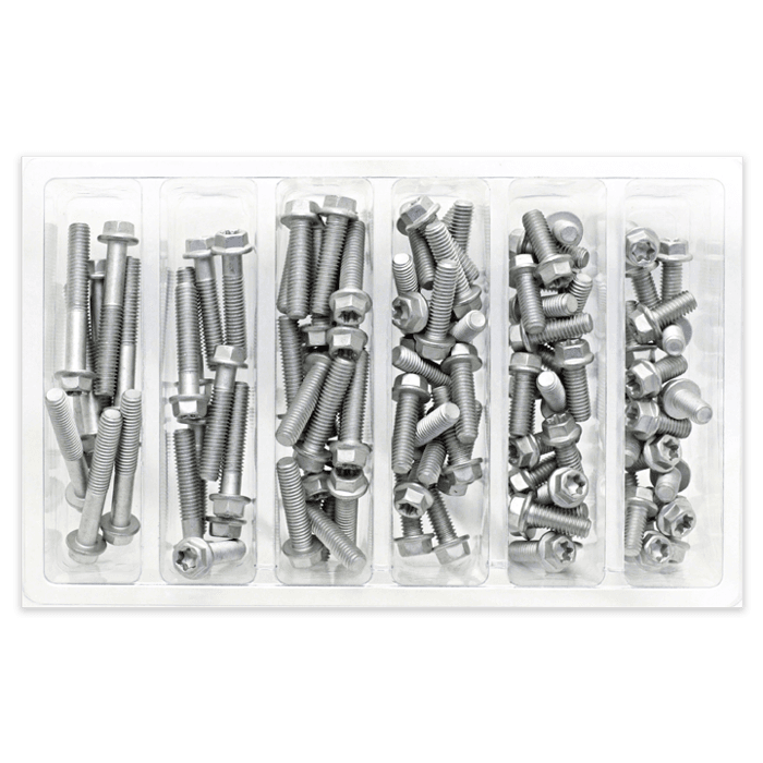 SVC M6 EURO TORX BOLT ASST