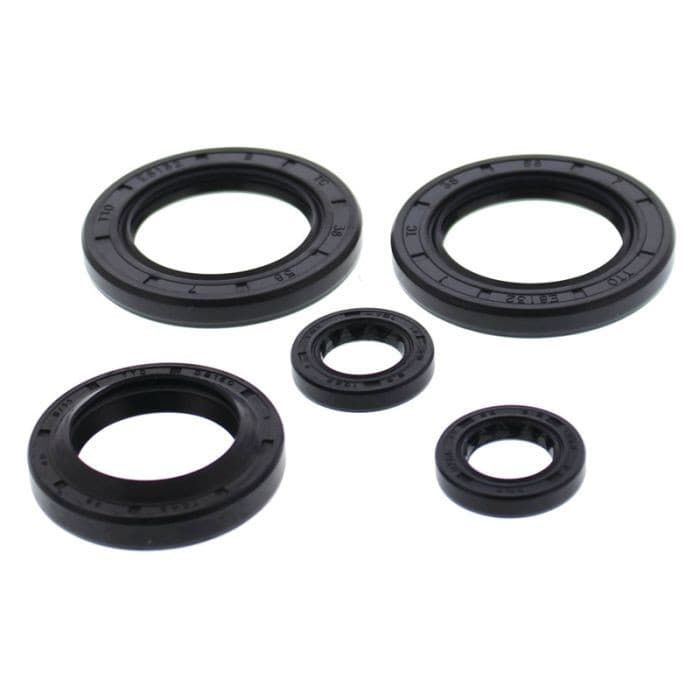 VERTEX ENGINE OIL SEAL KIT