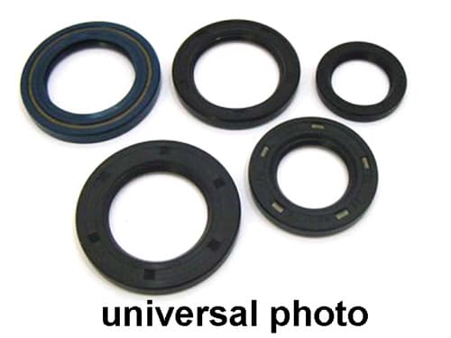 VERTEX ENGINE OIL SEAL KIT