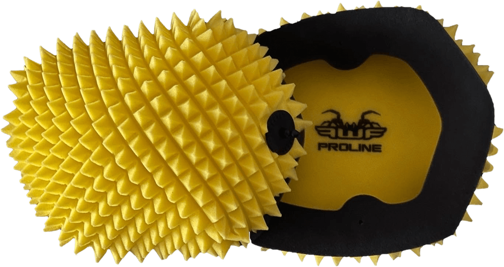 AIR FILTER PROLINE