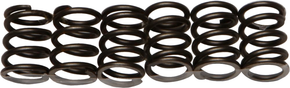 CLUTCH SPRINGS CSK19