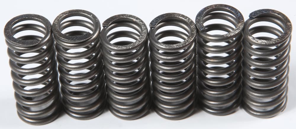 EBC Clutch Springs CSK210