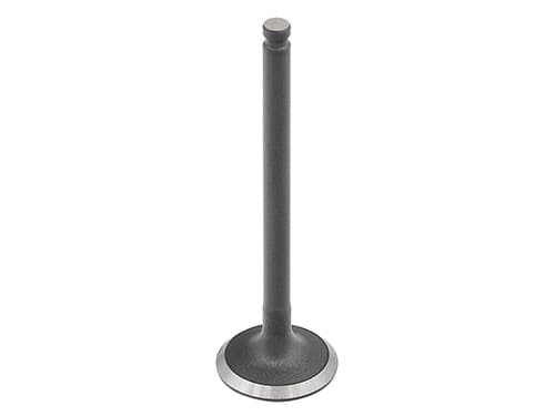 BRONCO INTAKE VALVE
