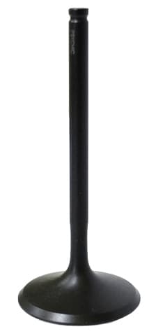 Namura Intake Valve