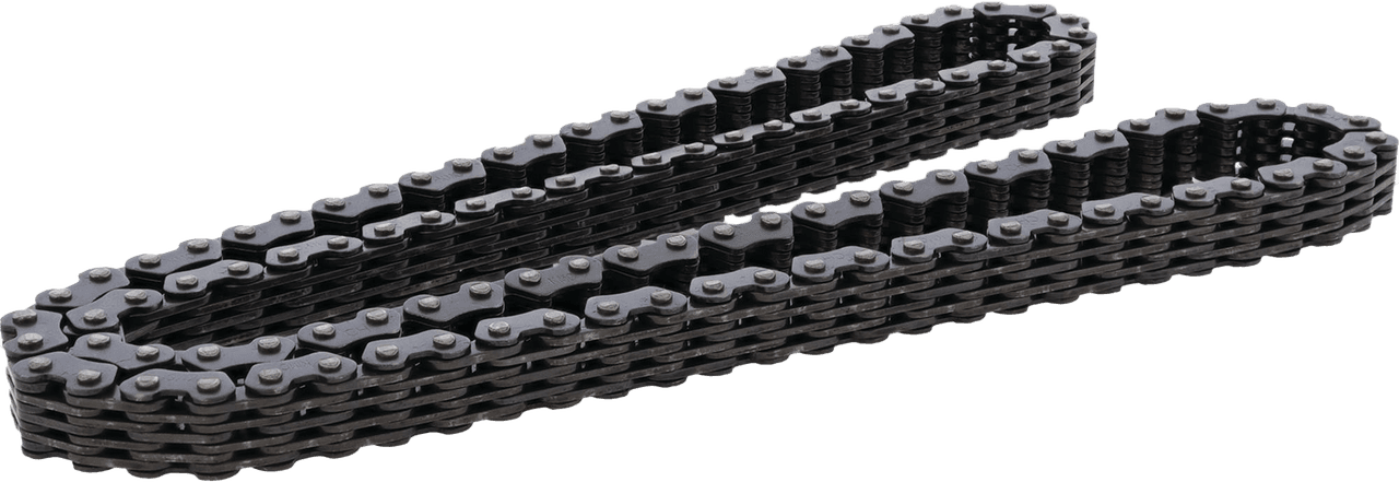CAM CHAIN