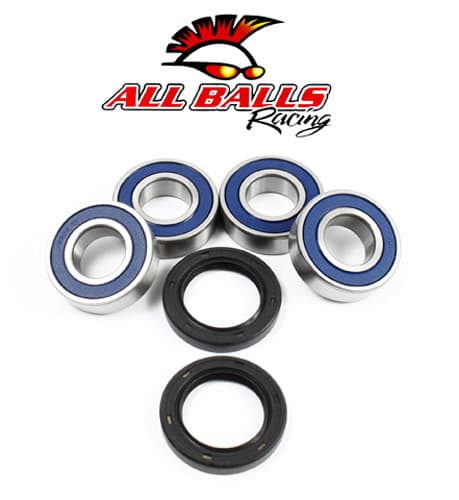 All Balls Rear Independent Suspension Kit