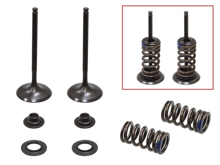 PSYCHIC INTAKE VALVE KIT