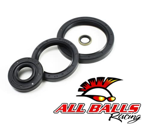 All Balls Differential Seal Kit