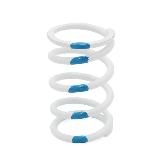EPI PRIMARY CLUTCH SPRING - WHITE/BLUE