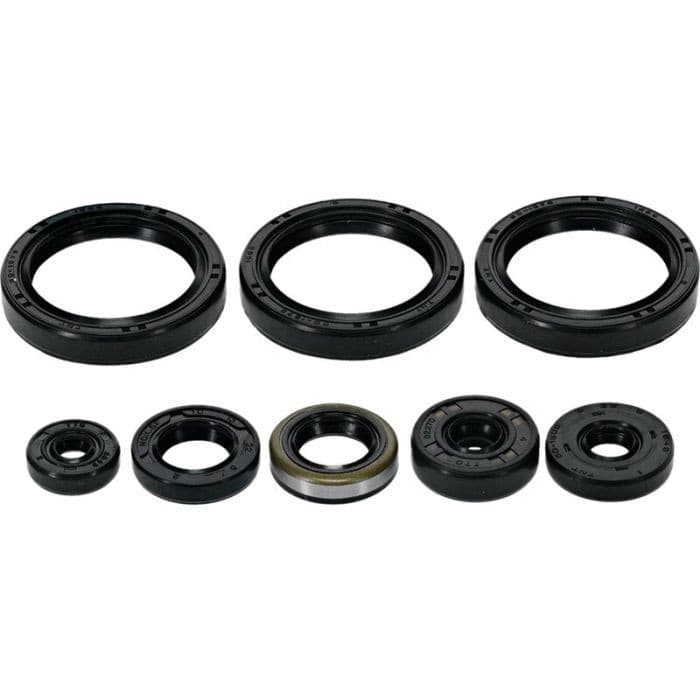 Vertex Oil Seal Set