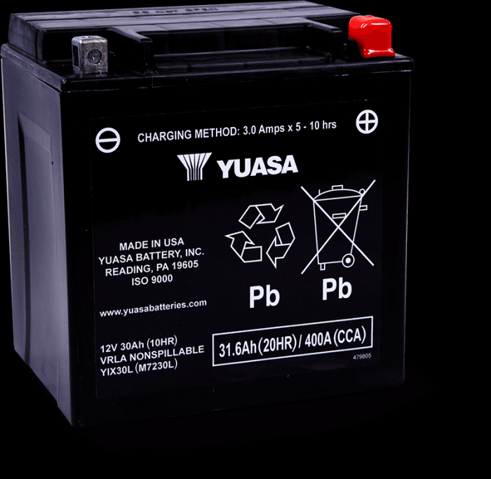 Yuasa Battery YIX30L-PW Maintenance Free