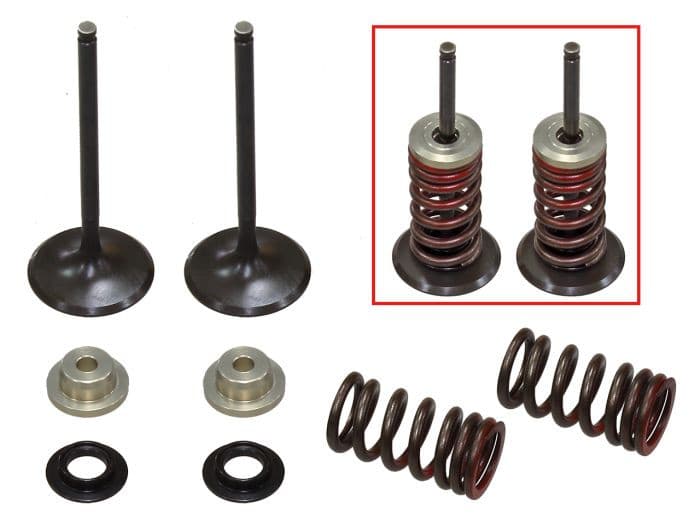 PSYCHIC INTAKE VALVE KIT