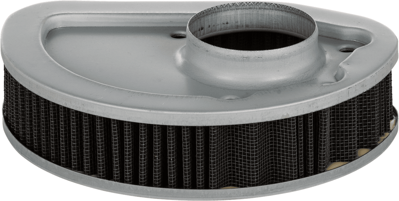 HardDrive Performance Air Filter Repl OEM 29400045
