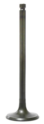 INTAKE VALVE