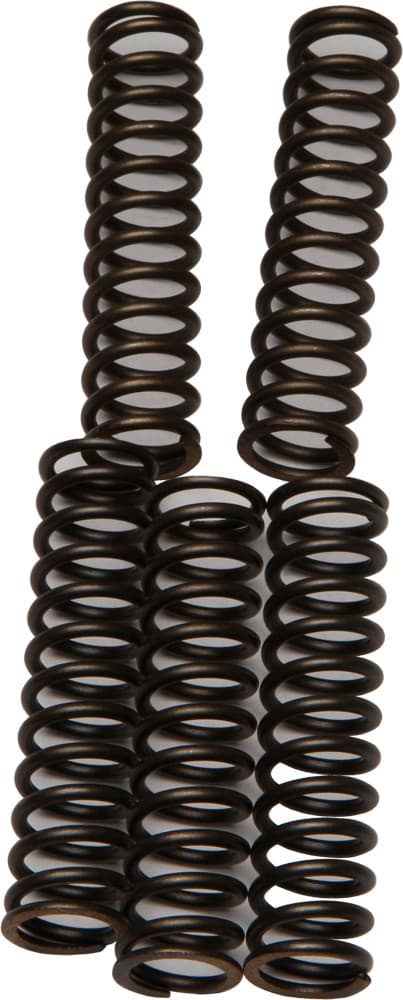 EBC Clutch Springs CSK110