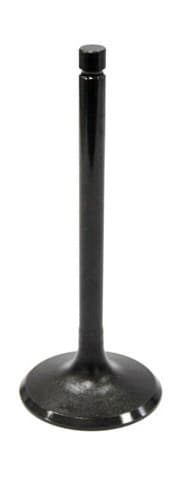 Namura Intake Valve