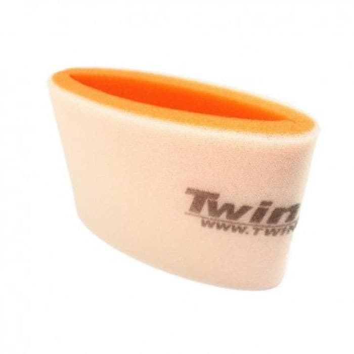 Twin Air Air Filter