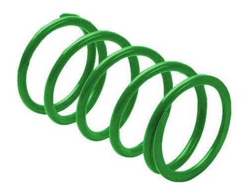 EPI CLUTCH SPRING GREEN