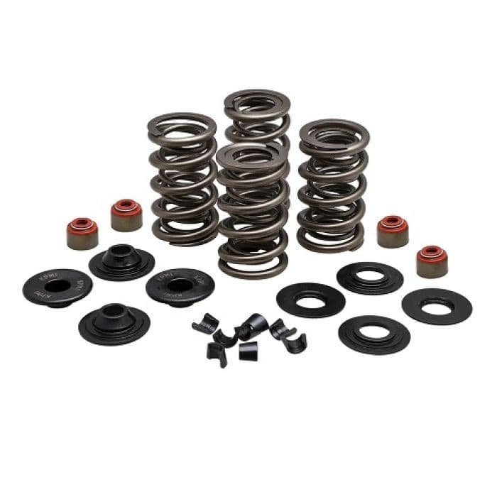 KPMI SPRING KIT, LIGHTWEIGHT RACING, 0.650" LIFT, 7MM HD