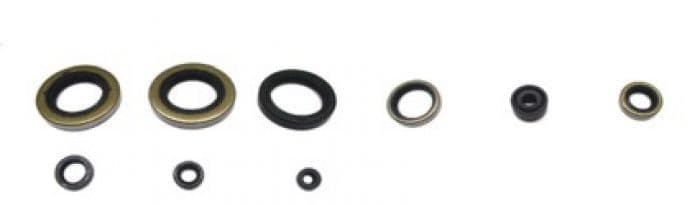 PSYCHIC ENGINE OIL SEAL KIT