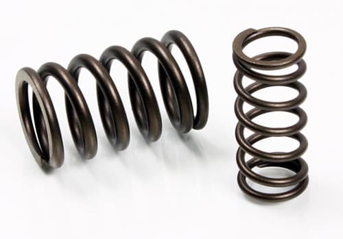 PSYCHIC INTAKE VALVE SPRING