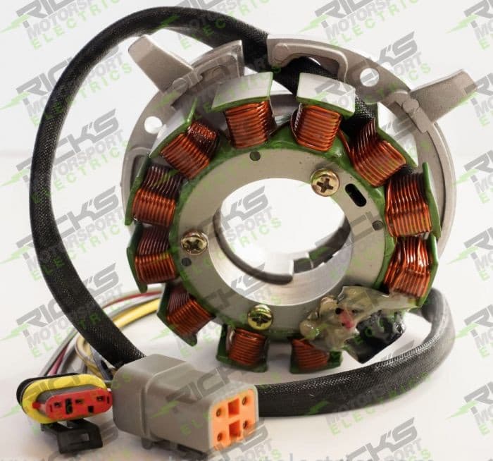 RICK'S ELECTRIC SKI DOO STATOR