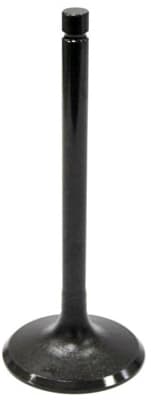 INTAKE VALVE
