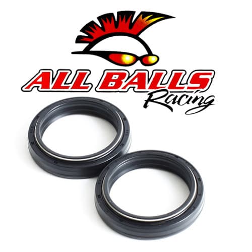 FORK SEAL KIT