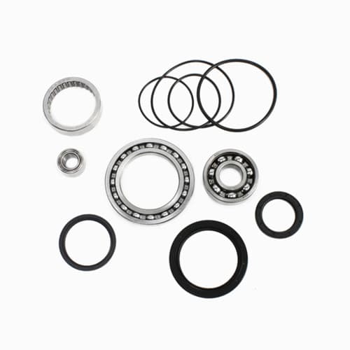 REAR DIFFERENTIAL BEARING AND SEAL KIT