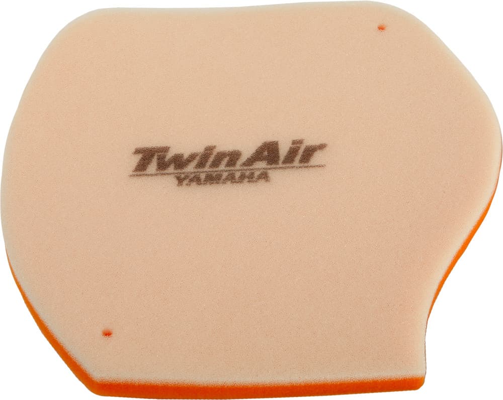 Twin Air Air Filter