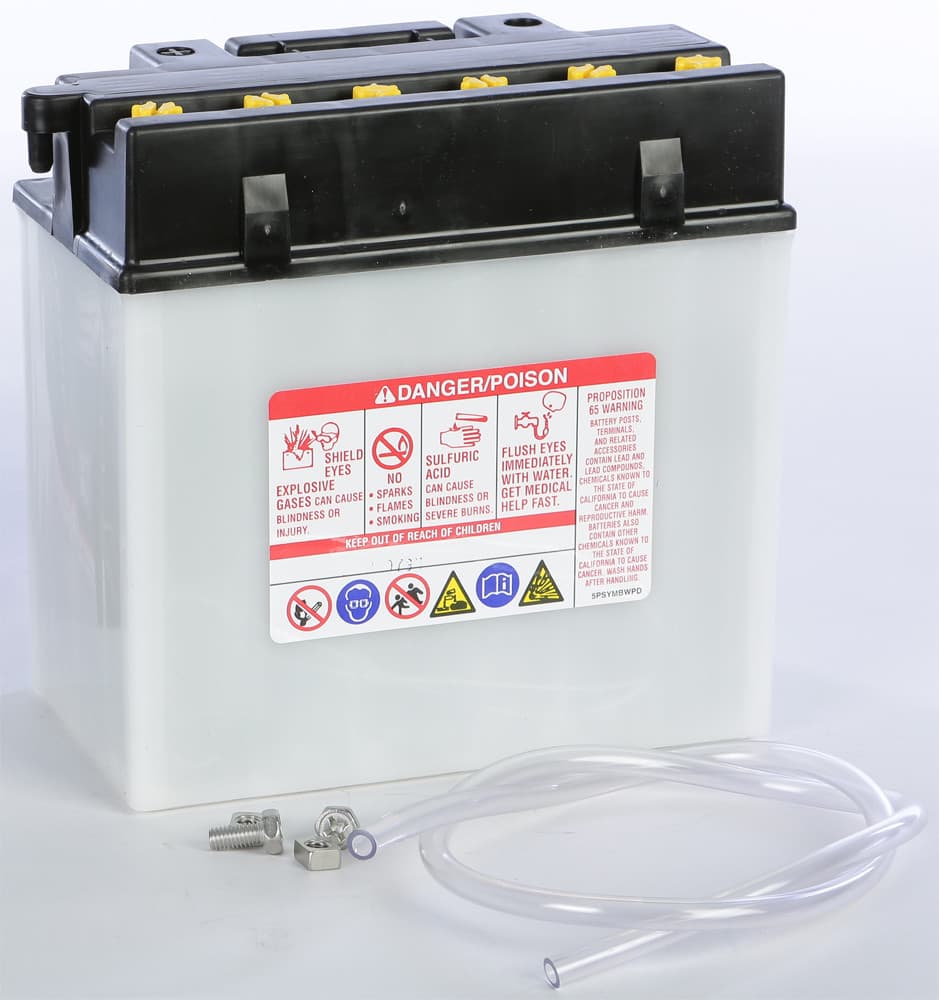 Yuasa Battery YB16CL-B Conventional
