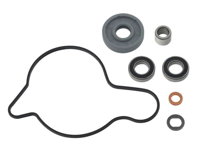 PSYCHIC WATER PUMP REPAIR KIT