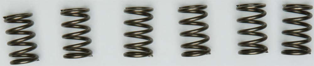 EBC Clutch Springs CSK171