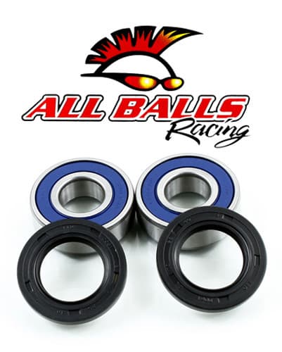 All Balls Wheel Bearing & Seal Kit