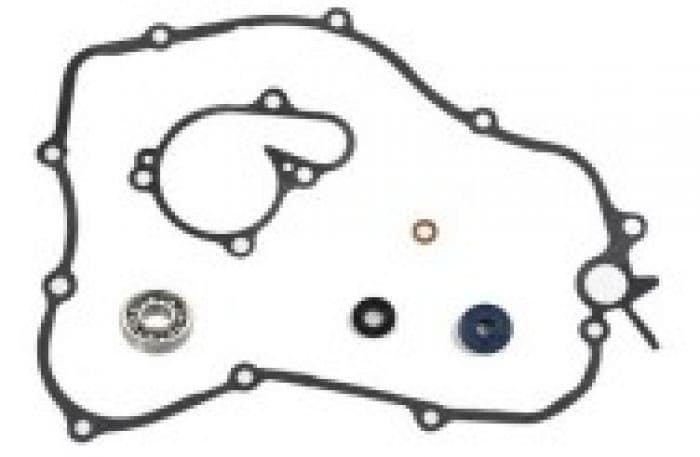 PSYCHIC WATERPUMP REPAIR KIT