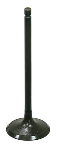 Namura Intake Valve