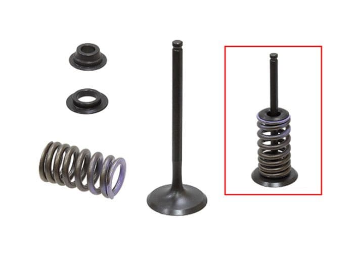 PSYCHIC INTAKE VALVE KIT