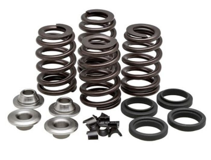 KPMI SPRING KIT 6.0MM CONV. BEEHIVE.460" LIFT